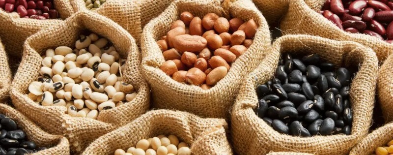 Legumi biologici: proteine vegetali, benessere intestinale e ricette estive light