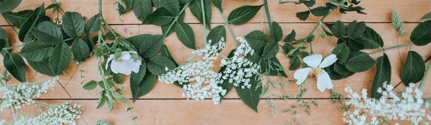 Sos da dopo feste: le tisane detox 